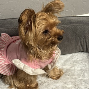 Fundraising Page: Mariah Carey Valencia
